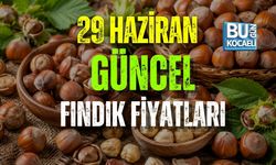 29 HAZİRAN GÜNCEL FINDIK FİYATLARI: