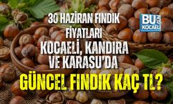 30 HAZİRAN FINDIK FİYATLARI: KOCAELİ, KANDIRA VE KARASU’DA GÜNCEL FINDIK KAÇ TL?