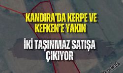 KANDIRA’DA KERPE VE KEFKEN’E YAKIN İKİ TAŞINMAZ SATIŞA ÇIKIYOR