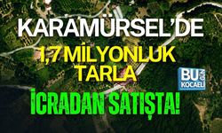 KARAMÜRSEL’DE 1,7 MİLYONLUK TARLA İCRADAN SATIŞTA!