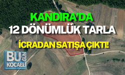 KANDIRA’DA 12 DÖNÜMLÜK TARLA İCRADAN SATIŞA ÇIKTI