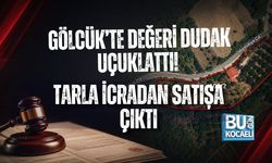 GÖLCÜK’TE DEĞERİ DUDAK UÇUKLATTI! TARLA İCRADAN SATIŞA ÇIKTI