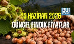 20 HAZİRAN 2026 GÜNCEL FINDIK FİYATLAR