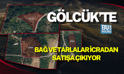 GÖLCÜK’TE BAĞ VE TARLALAR İCRADAN SATIŞA ÇIKIYOR