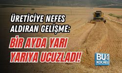 ÜRETİCİYE NEFES ALDIRAN GELİŞME: BİR AYDA YARI YARIYA UCUZLADI!