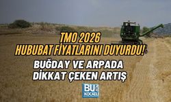 TMO 2026 HUBUBAT FİYATLARINI DUYURDU! BUĞDAY VE ARPADA DİKKAT ÇEKEN ARTIŞ
