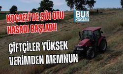 KOCAELİ'DE SÜT OTU HASADI BAŞLADI! ÇİFTÇİLER YÜKSEK VERİMDEN MEMNUN