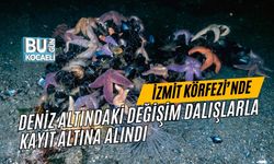 İZMİT KÖRFEZİ’NDE DENİZ ALTINDAKİ DEĞİŞİM DALIŞLARLA KAYIT ALTINA ALINDI