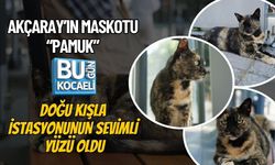AKÇARAY’IN MASKOTU “PAMUK” DOĞU KIŞLA İSTASYONUNUN SEVİMLİ YÜZÜ OLDU