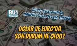 DÖVİZ KURLARINDA HAREKETLİLİK DEVAM EDİYOR DOLAR VE EURO'DA SON DURUM NE OLDU?