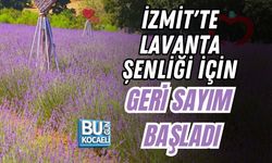 İZMİT'TE LAVANTA ŞENLİĞİ İÇİN GERİ SAYIM BAŞLADI