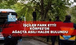 İŞÇİLER FARK ETTİ! KÖRFEZ'DE AĞAÇTA ASILI HALDE BULUNDU