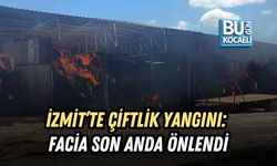 İZMİT’TE ÇİFTLİK YANGINI: FACİA SON ANDA ÖNLENDİ