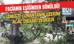 İZMİT'TE LOKANTANIN ÜZERİNE AĞAÇ DALLARI DEVRİLDİ FACİANIN EŞİĞİNDEN DÖNÜLDÜ!