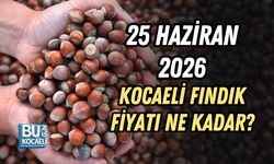 25 HAZİRAN 2026 KOCAELİ FINDIK FİYATI NE KADAR?