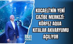 KOCAELİ'NİN YENİ CAZİBE MERKEZİ: KÖRFEZ AQUA KITALAR AKVARYUMU AÇILIYOR