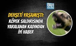 DEHŞETİ YAŞAMIŞTI: KÖPEK SALDIRISINDA YARALANAN KADINDAN İYİ HABER