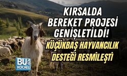 KIRSALDA BEREKET PROJESİ GENİŞLETİLDİ! KÜÇÜKBAŞ HAYVANCILIK DESTEĞİ RESMİLEŞTİ