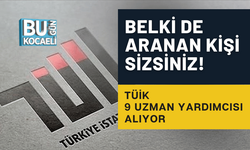 BELKİ DE ARANAN KİŞİ SİZSİNİZ! TÜİK 9 UZMAN YARDIMCISI ALIYOR