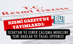 RESMÎ GAZETE'DE YAYIMLANDI: UZAKTAN VE ESNEK ÇALIŞMA MODELİNE YENİ HAKLAR VE YASAL GÜVENCE!