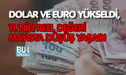 DOLAR VE EURO YÜKSELDİ, TL'NİN REEL DEĞERİ MAYISTA DÜŞÜŞ YAŞADI