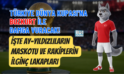 TÜRKİYE DÜNYA KUPASI'NA BOZKURT İLE DAMGA VURACAK! İŞTE AY-YILDIZLILARIN MASKOTU VE RAKİPLERİN İLGİNÇ LAKAPLARI