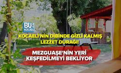 KOCAELİ'NİN DİBİNDE GİZLİ KALMIŞ LEZZET DURAĞI! MEZGUAŞE'NİN YERİ KEŞFEDİLMEYİ BEKLİYOR