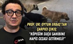 PROF. DR. OYTUN ERBAŞ'TAN ÇARPICI ÇIKIŞ: "KÖPEĞİN SUÇU SAHİBİNE HAPİS CEZASI GETİRMELİ!"