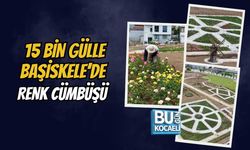 15 BİN GÜLLE BAŞİSKELE’DE RENK CÜMBÜŞÜ