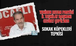 YENİDEN REFAH PARTİSİ İL TEŞKİLAT BAŞKANI CEVDET ÇEPİL'DEN SOKAK KÖPEKLERİ TEPKİSİ