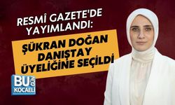 RESMÎ GAZETE'DE YAYIMLANDI: ŞÜKRAN DOĞAN DANIŞTAY ÜYELİĞİNE SEÇİLDİ