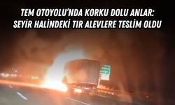 TEM OTOYOLU’NDA KORKU DOLU ANLAR: SEYİR HALİNDEKİ TIR ALEVLERE TESLİM OLDU