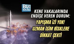 KENE VAKALARINDA ENDİŞE VEREN DURUM: YAPIŞMA İZİ YOK! UZMAN İSİM RİSKLERE DİKKAT ÇEKTİ