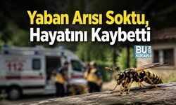 YABAN ARISI SOKTU, HAYATINI KAYBETTİ