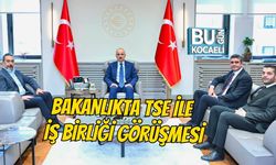 BAKANLIKTA TSE İLE İŞ BİRLİĞİ GÖRÜŞMESİ