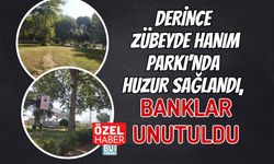 DERİNCE ZÜBEYDE HANIM PARKI'NDA HUZUR SAĞLANDI, BANKLAR UNUTULDU