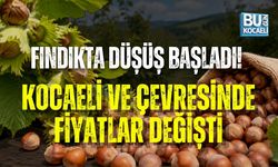 FINDIKTA DÜŞÜŞ BAŞLADI! KOCAELİ VE ÇEVRESİNDE FİYATLAR DEĞİŞTİ