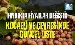 FINDIKTA FİYATLAR YENİDEN DEĞİŞTİ! KOCAELİ, KANDIRA, KARASU VE DÜZCE’DE GÜNCEL LİSTE