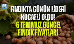 FINDIKTA GÜNÜN LİDERİ KOCAELİ OLDU! 6 TEMMUZ GÜNCEL FINDIK FİYATLARI