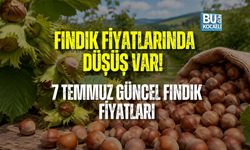 FINDIK FİYATLARINDA DÜŞÜŞ VAR! 7 TEMMUZ GÜNCEL FINDIK FİYATLARI