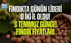 FINDIKTA FİYATLAR YENİDEN DEĞİŞTİ! KOCAELİ VE DÜZCE ZİRVEDE