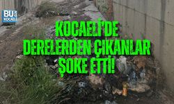 KOCAELİ’DE DERELERDEN ÇIKANLAR ŞOKE ETTİ!