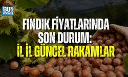 FINDIK FİYATLARINDA SON DURUM: İL İL GÜNCEL RAKAMLAR
