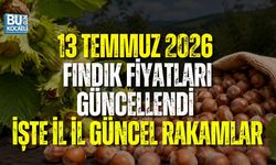 13 TEMMUZ 2026 İL İL GÜNCEL FINDIK FİYATLARI: KOCAELİ, DÜZCE VE SAKARYA’DA FINDIK KAÇ TL?