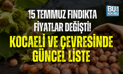 15 TEMMUZ KOCAEL VE ÇEVRESİ GÜNCEL FINDIK FİYATLARI