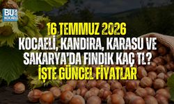 16 TEMMUZ 2026 FINDIK FİYATLARI: KOCAELİ, KANDIRA, KARASU VE SAKARYA’DA FİYATLAR DÜŞTÜ
