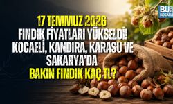 17 TEMMUZ 2026 FINDIK FİYATLARI YÜKSELDİ! KOCAELİ, KANDIRA, KARASU VE SAKARYA’DA FINDIK KAÇ TL?