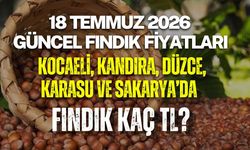 18 TEMMUZ 2026 GÜNCEL FINDIK FİYATLARI: KOCAELİ, KANDIRA, DÜZCE, KARASU VE SAKARYA’DA FINDIK KAÇ TL?
