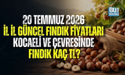 20 TEMMUZ 2026 İL İL GÜNCEL FINDIK FİYATLARI: KOCAELİ VE ÇEVRESİNDE FINDIK KAÇ TL?