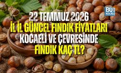 22 TEMMUZ FINDIK FİYATLARI BELLİ OLDU! KOCAELİ, KANDIRA, DÜZCE VE KARASU’DA FINDIK KAÇ TL?